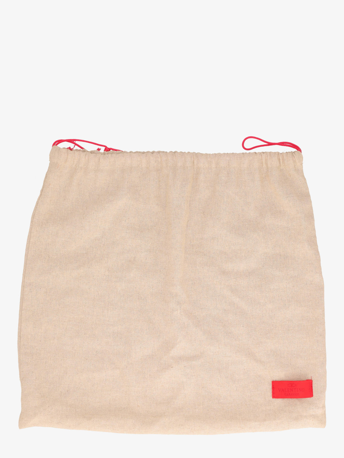 Valentino Snake Handle Hobo Bag