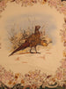 Ralph Lauren Pheasant Foulard