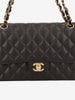 Chanel Classic Medium Double Flap Bag B090626.2  Chanel 