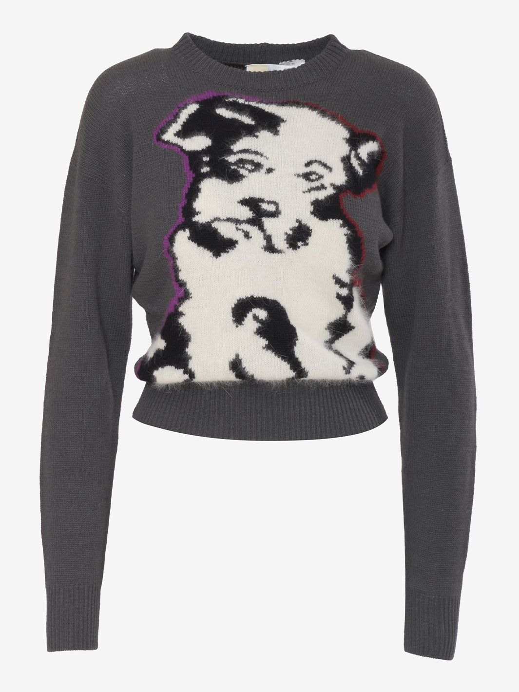 Maglia con ricamo Krizia Doggy