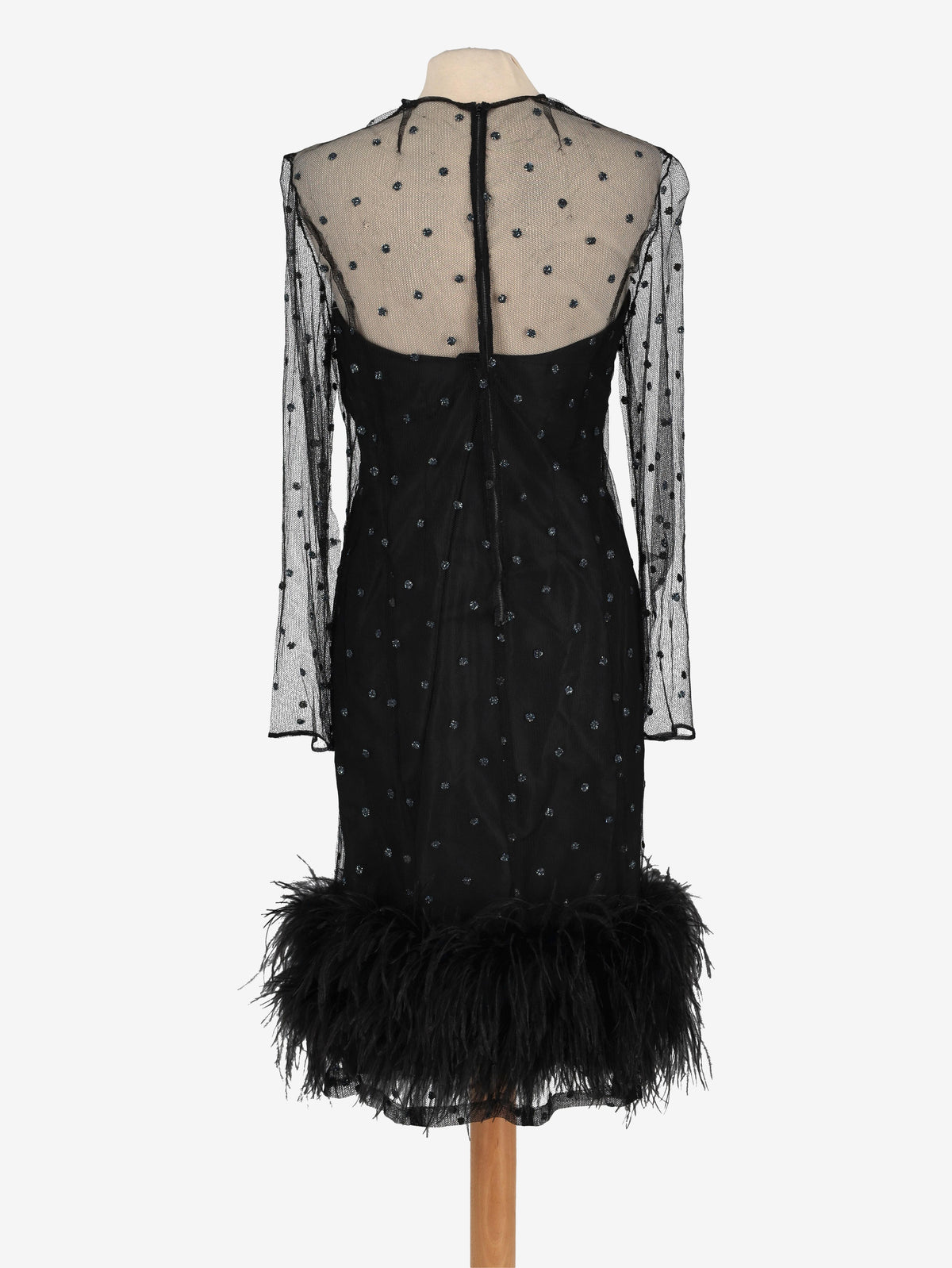 Sheer Dress with Glitter and Feather Details CVM24.19.12  Vintage 