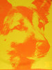 Jil Sander Wolf Portrait Silk Scarf with Fringed Edges W120626.3  Jil Sander 