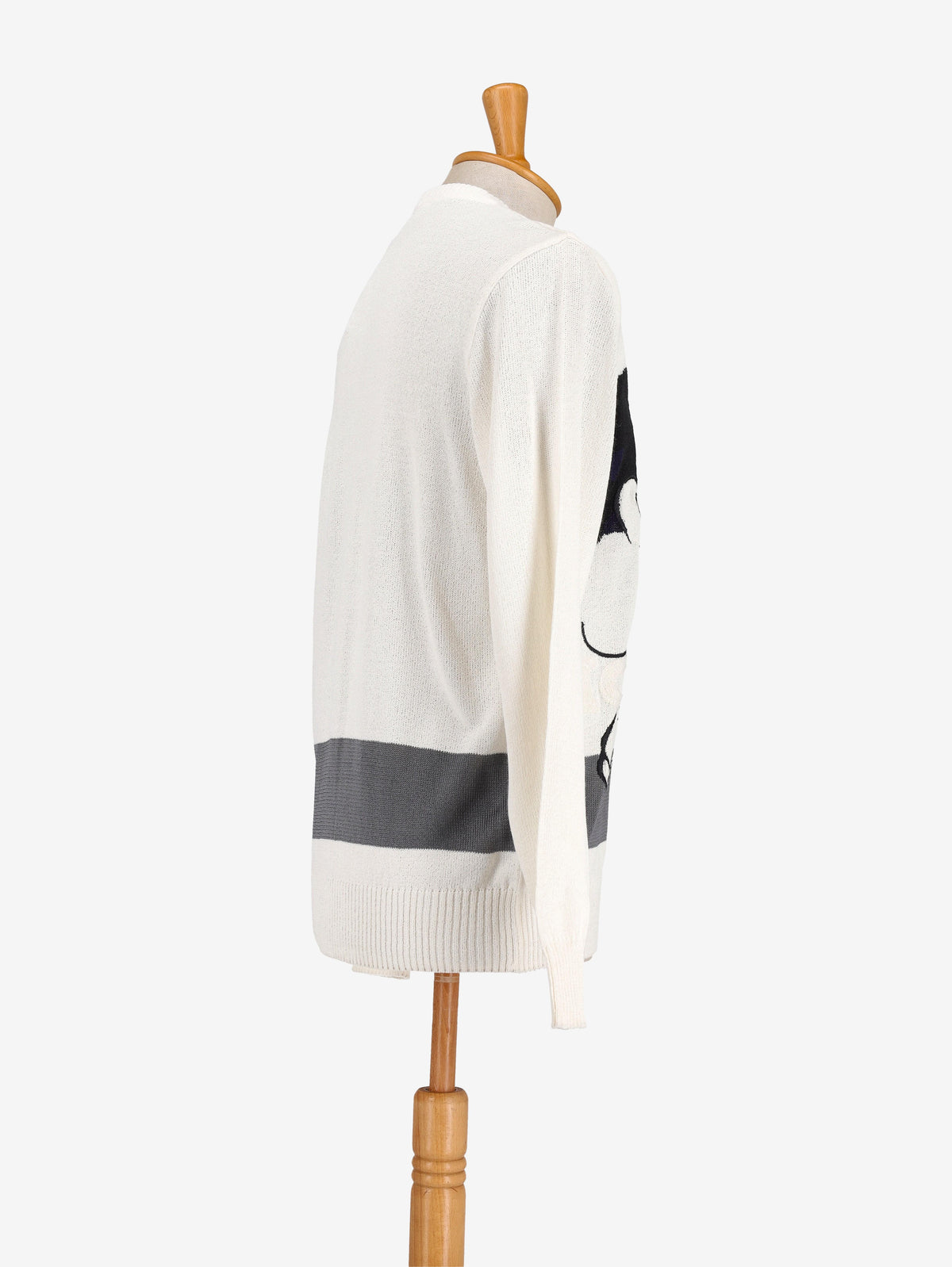 Maglione Disney raro Iceberg