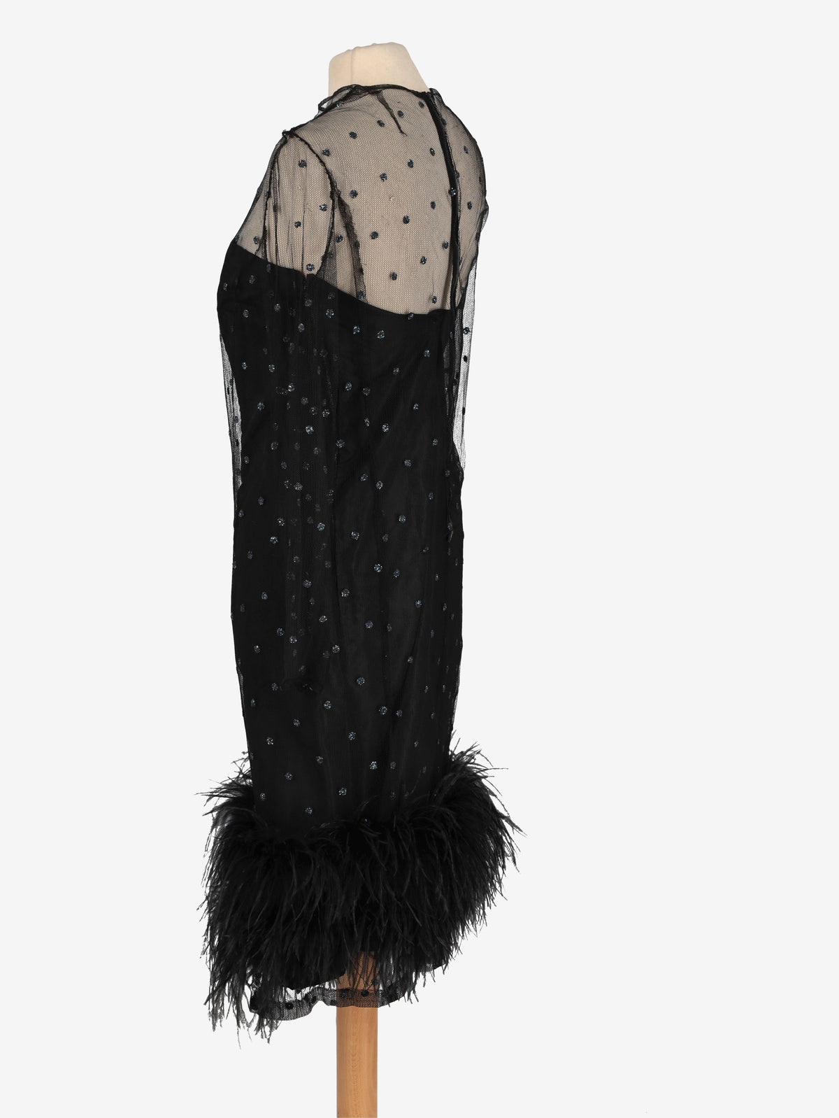 Sheer Dress with Glitter and Feather Details CVM24.19.12  Vintage 