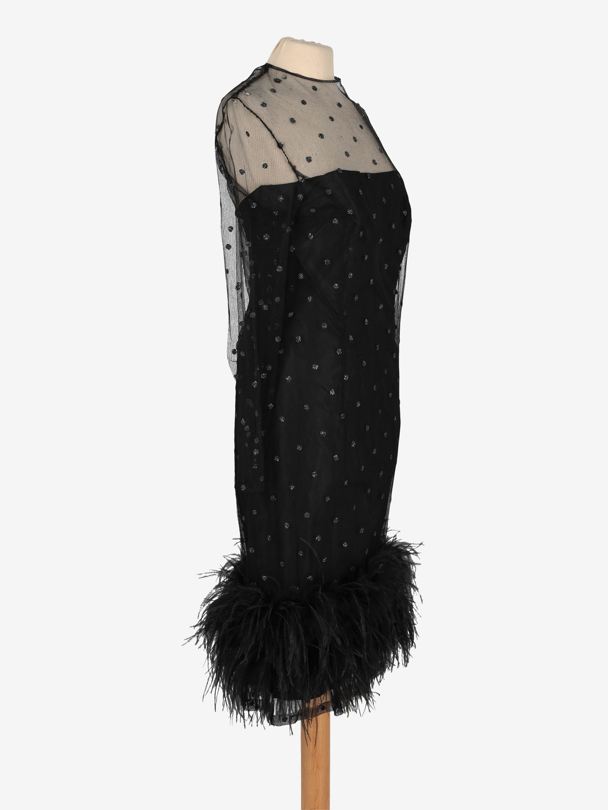 Sheer Dress with Glitter and Feather Details CVM24.19.12  Vintage 