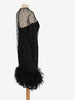 Sheer Dress with Glitter and Feather Details CVM24.19.12  Vintage 