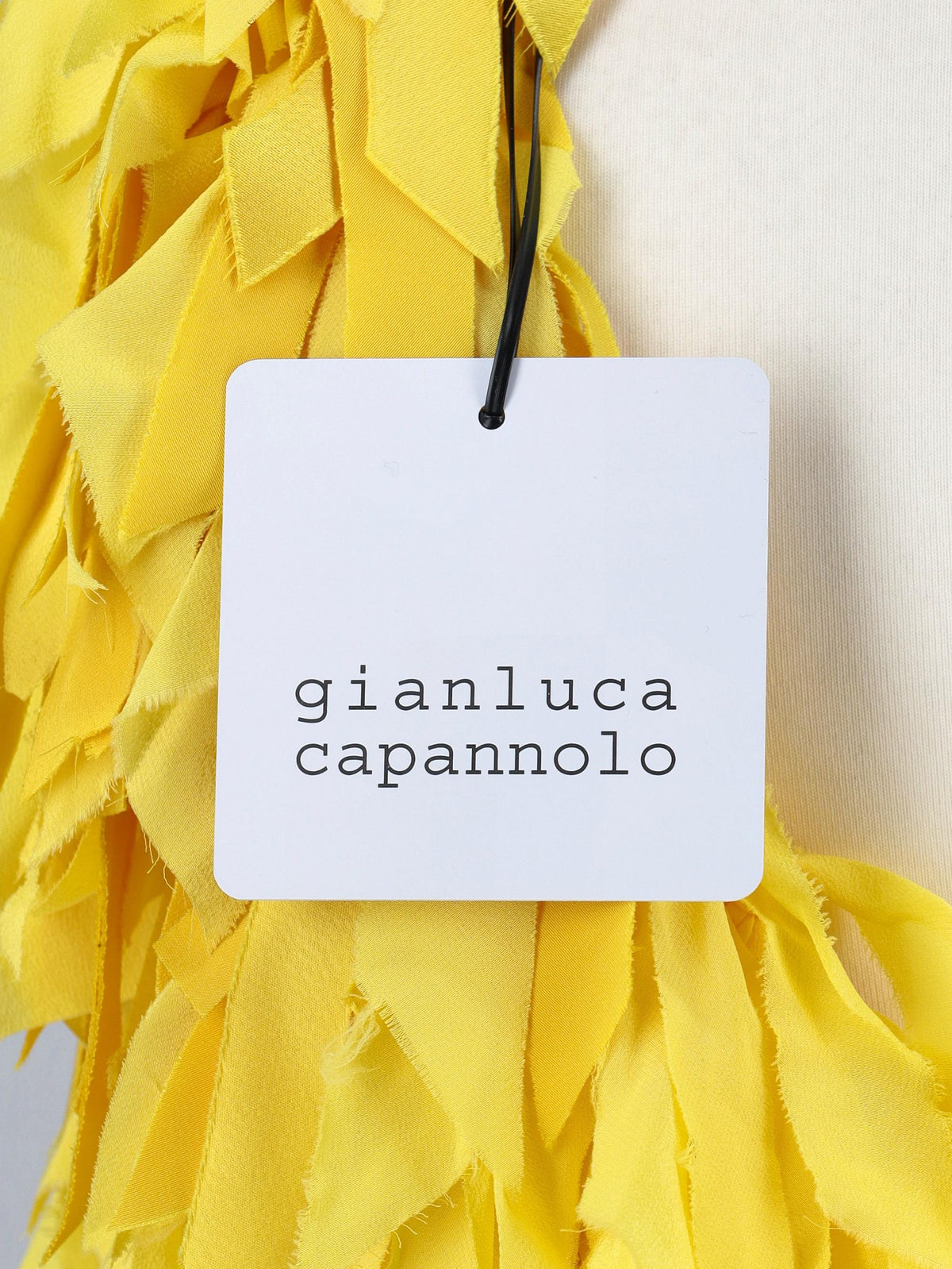 Gianluca Capannolo Fringe Dress