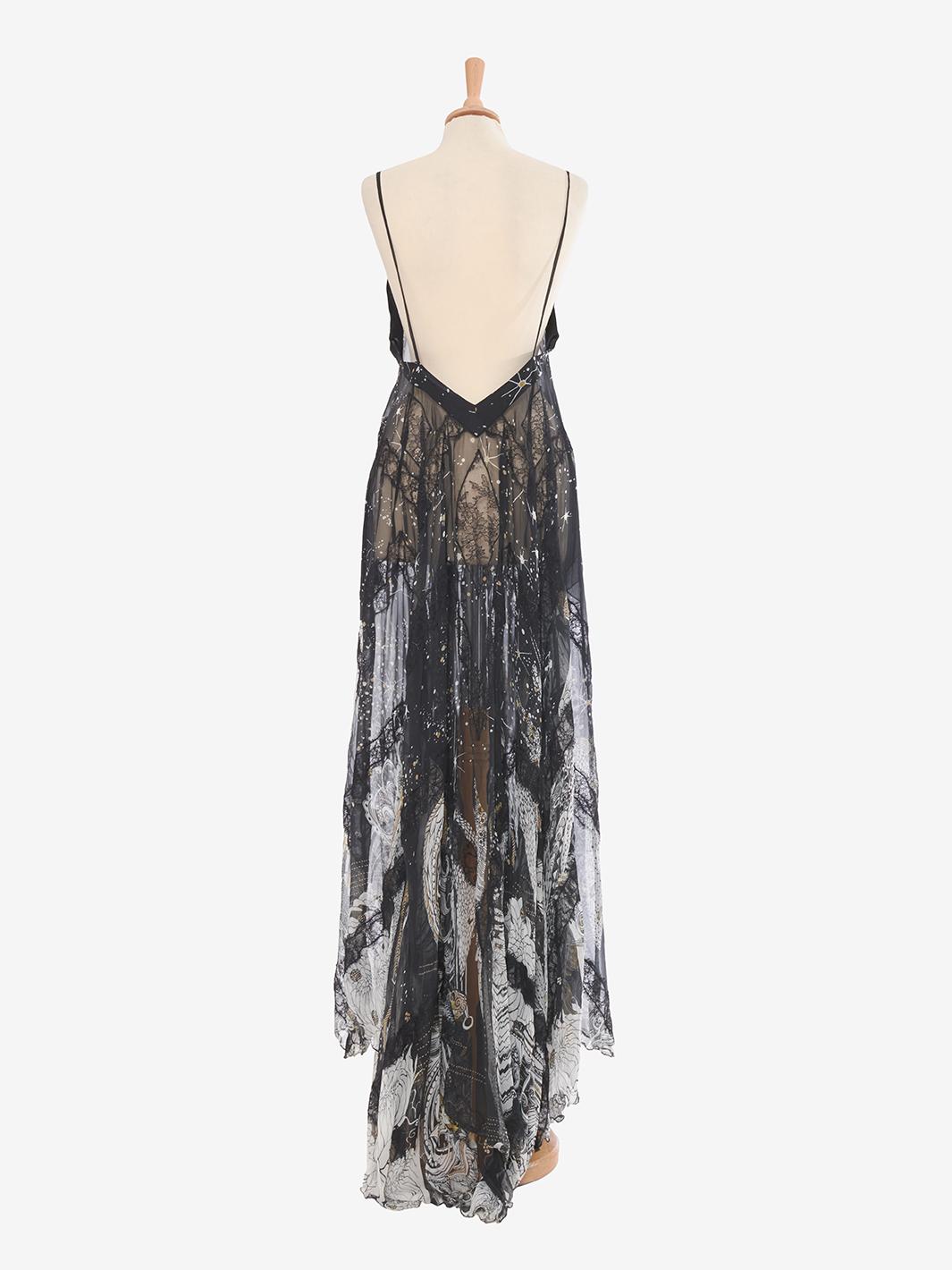 Roberto Cavalli Fancy long dress