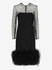 Sheer Dress with Glitter and Feather Details CVM24.19.12  Vintage 