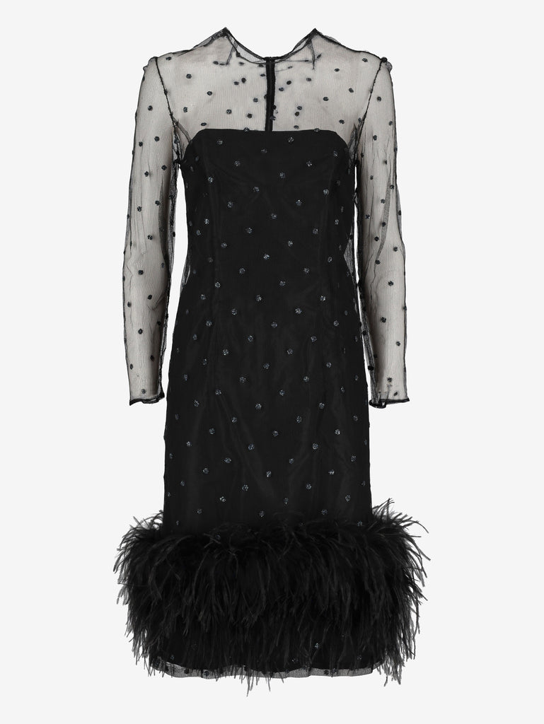 Sheer Dress with Glitter and Feather Details CVM24.19.12  Vintage 