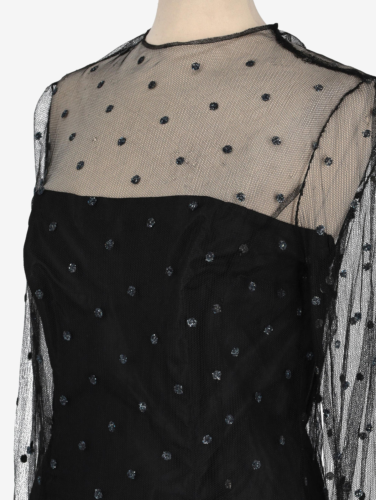 Sheer Dress with Glitter and Feather Details CVM24.19.12  Vintage 