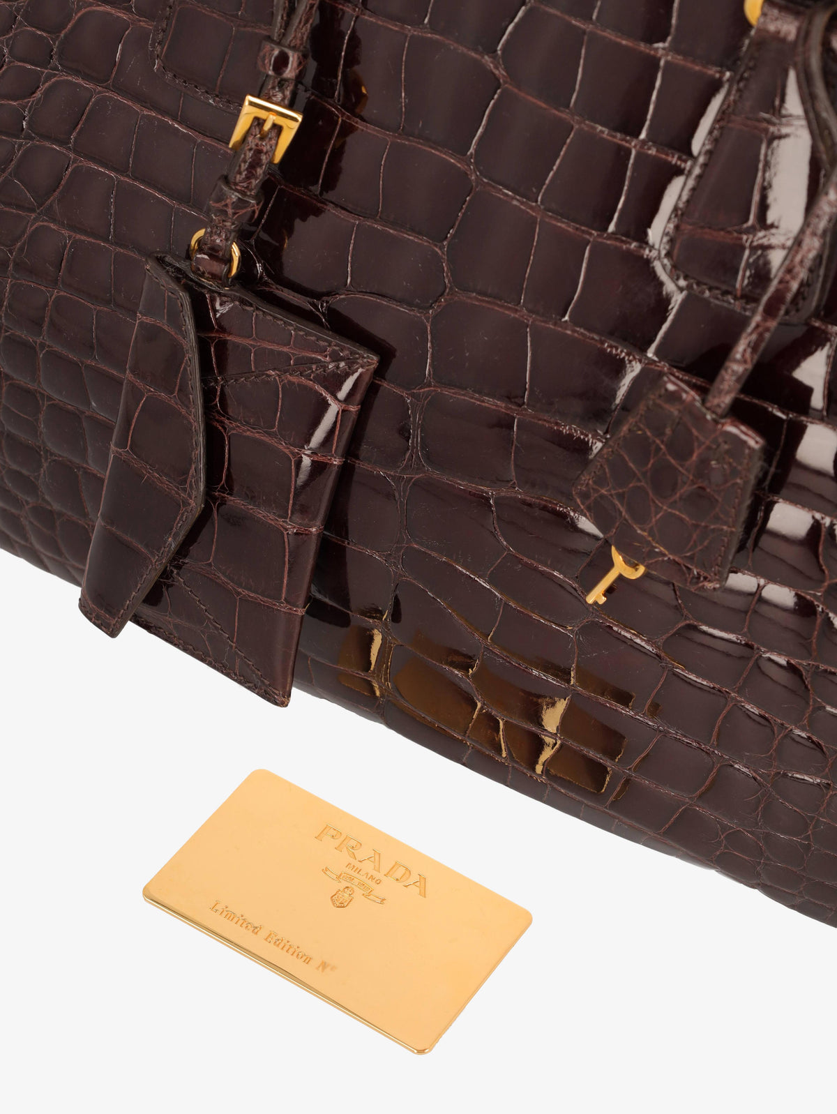 Prada Crocodile Bauletto Bag in Dark Brown Crocodile Leather WCV161224_82  Prada 