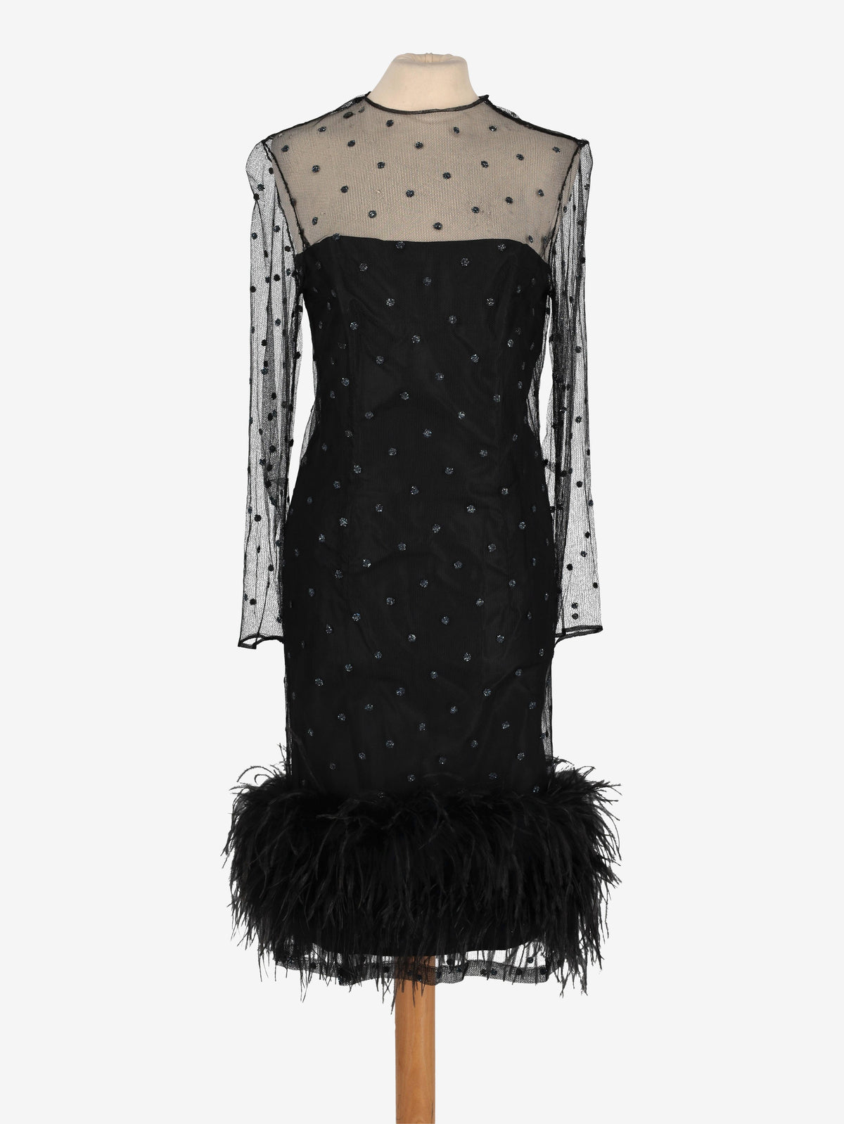Sheer Dress with Glitter and Feather Details CVM24.19.12  Vintage 