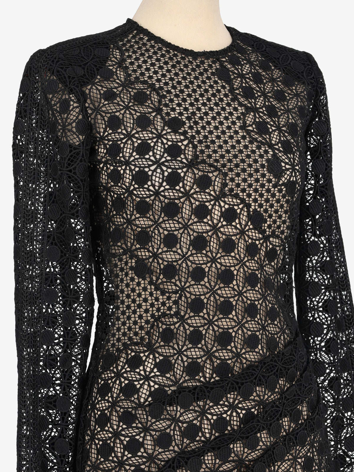 Self-Portrait Laced Dress WCV161224_98  Self portrait 