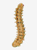 Kenneth Jay Lane Colourful Caterpillar Brooch CVR24.1.44  Kenneth Jay Lane 