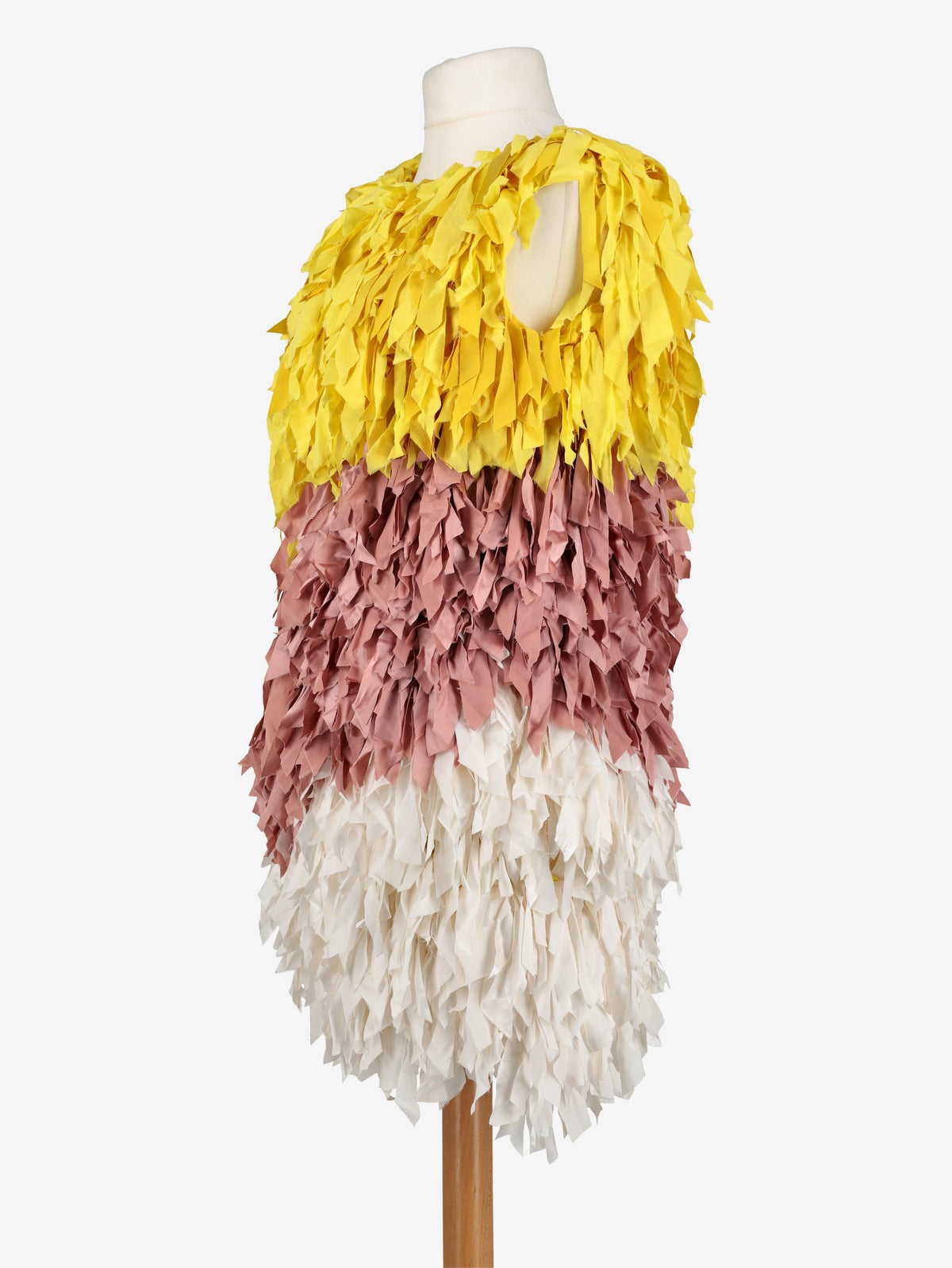 Gianluca Capannolo Fringe Dress