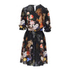 Dolce & Gabbana Baroque Painting Print Dress